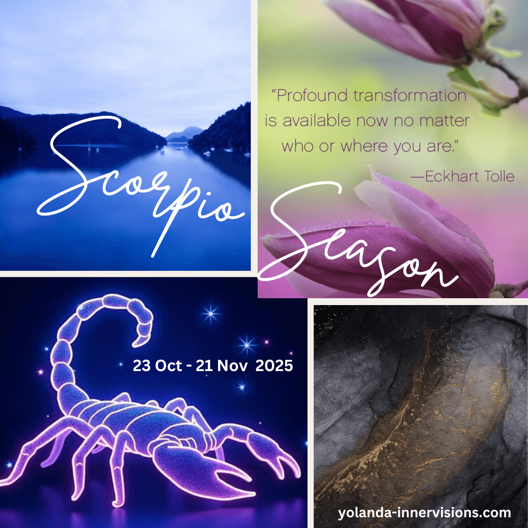 Astrology guidance for Scorpio season – New Zealand intuitive readings