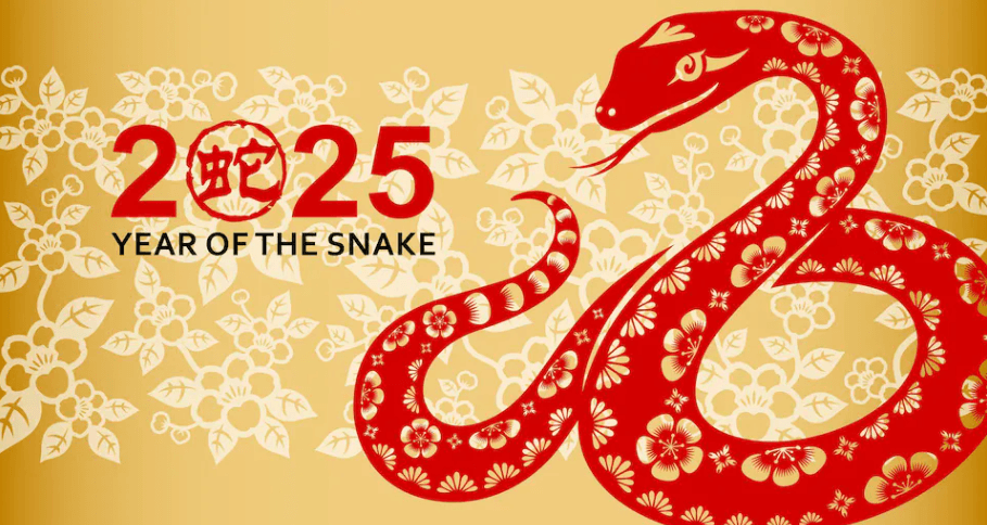 2025 Year of the Snake meaning – psychic predictions NZ