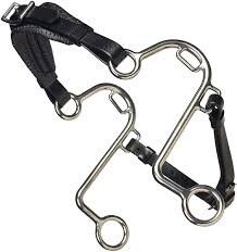 &quot;S&quot; Hackamore