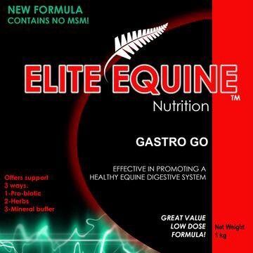 Elite Equine Gastro-Go