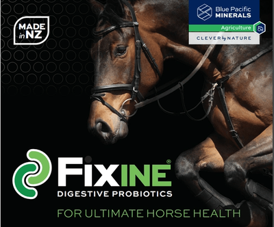 Fixine for Equine