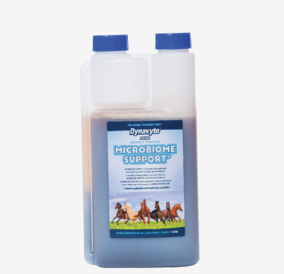 Dynavyte Microbiome Support Equine