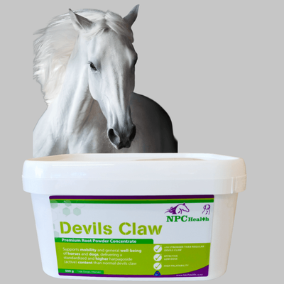 NPC Devils Claw Powder