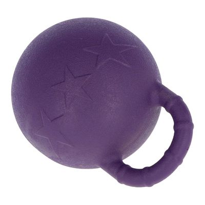 Toy Ball with Handle