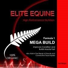 Elite Equine Mega Build