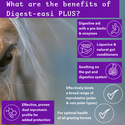 NPC Digest-Easi Plus