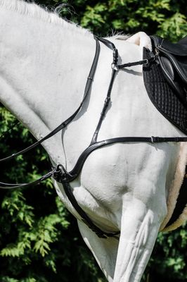 Cavallino Ultimate 5 Point Breastplate