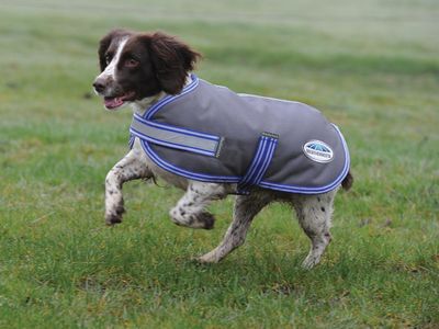 Comfitec Thermi-Heat Dog Coat