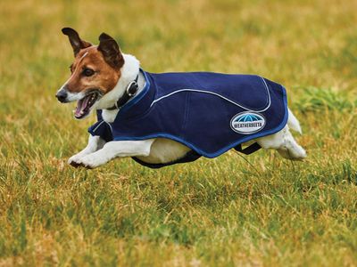 Weatherbeeta 1200D Exercise Dog Coat