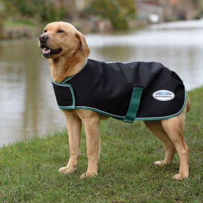 Weatherbeeta Green-Tec Dog Coat 220gm