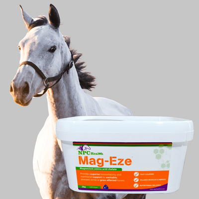 NPC Mag-Eze Powder