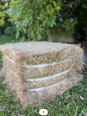 Meadow Hay - Compressed
