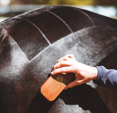 Hairy Pony Quarter Mark Brush