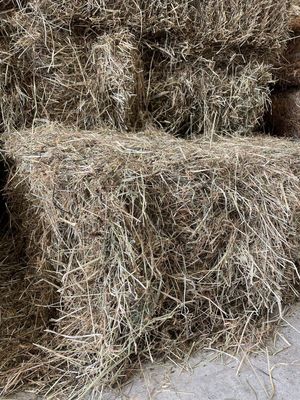 PRE ORDER Conventional Meadow Hay - Delivered