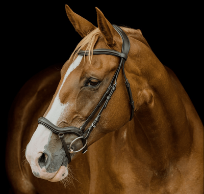 Platinum Signature Pressure Relief Bridle
