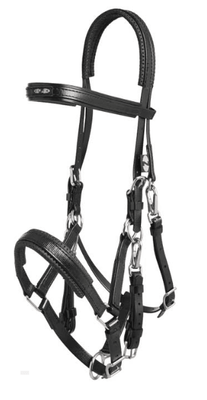 Marathon Bridle