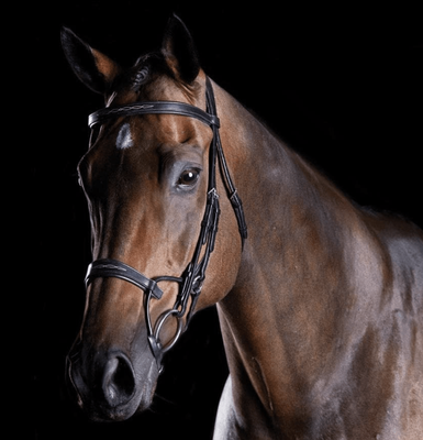 Collegiate Comfitec Fancy Stitch Bridle