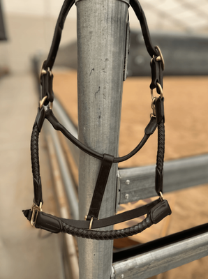 Braided Leather Halter