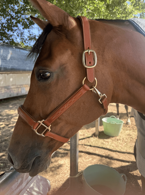 Fancy Stitch Leather Halter