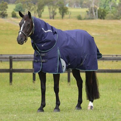 Weatherbeeta Comfitec Plus Dynamic Turnout Detach-A-Neck