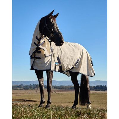 Weatherbeeta Cotton Summer Sheet Lite Combo Beige/NavyForest Green