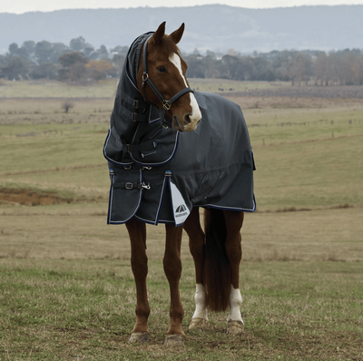 Weatherbeeta Comfitec Ultra Turnout Detach-a-Neck - 220g