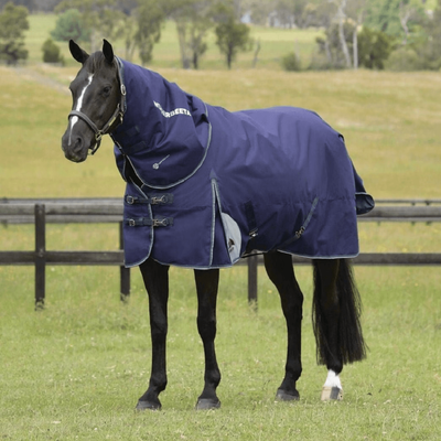 Weatherbeeta Comfitec Plus Dynamic Turnout Detach-a-Neck - 220g