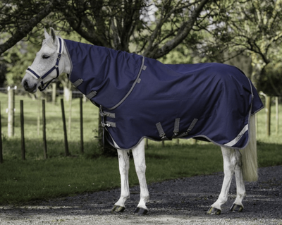 Cavallino Gen 4 Detach-a-neck