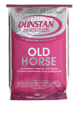 Dunstan Old Horse