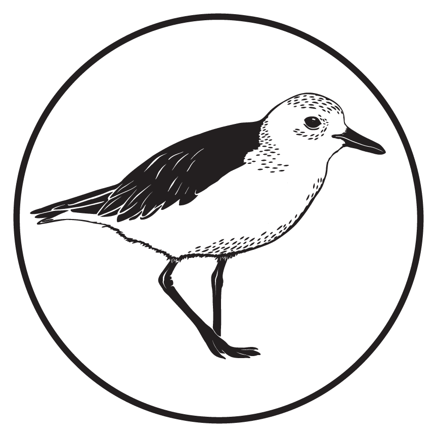 Black and white Illustration of a dotteral bird on a branch