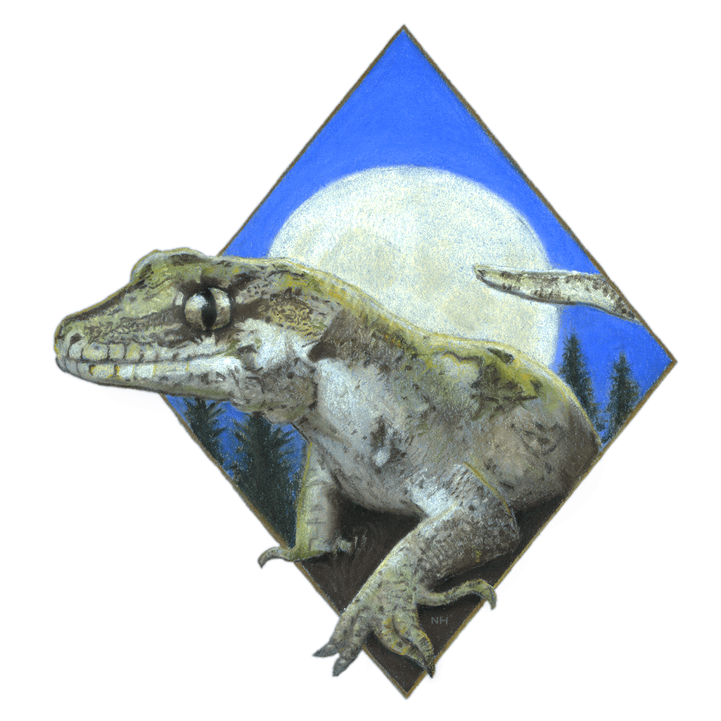 painting of a tara seabird with Whatipu landscape