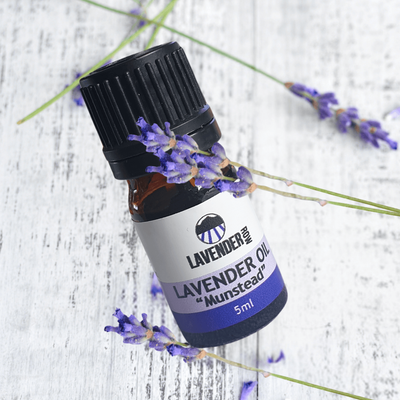 Munstead Lavender Essential Oil - from $8