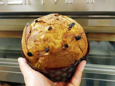 Traditional Panettone