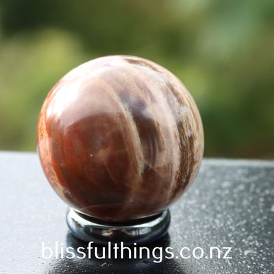 Petrified Wood Sphere/Ball