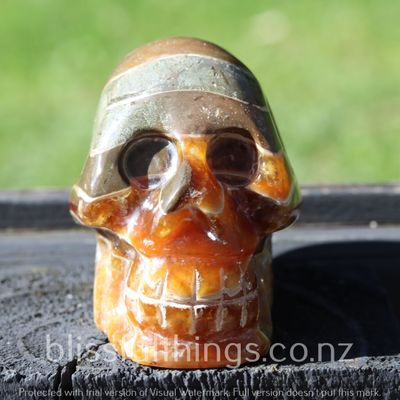 Ammonite -Carved Skull-