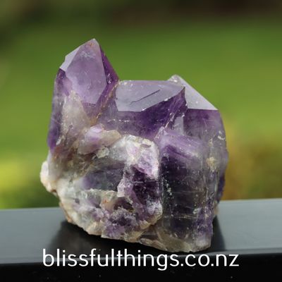 Amethyst Cluster -From Zambia-