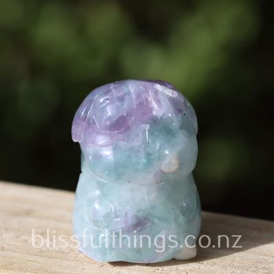 Fluorite Dog