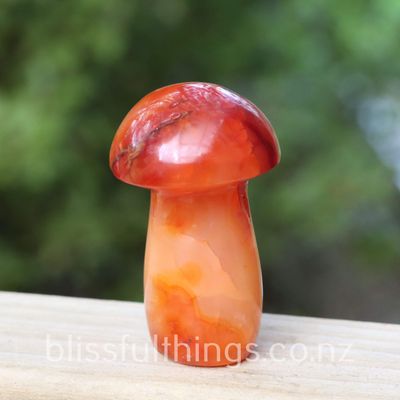 Carnelian Mushroom