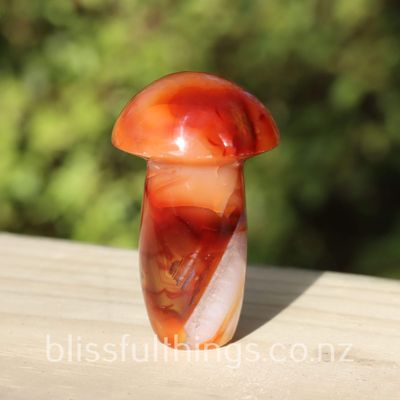 Carnelian Mushroom