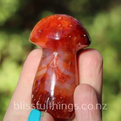 Carnelian Mushroom