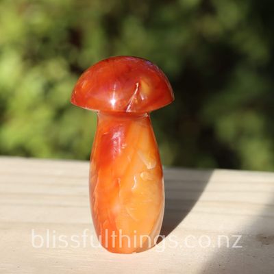 Carnelian Mushroom