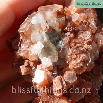 Sputnik Aragonite with White and Brown