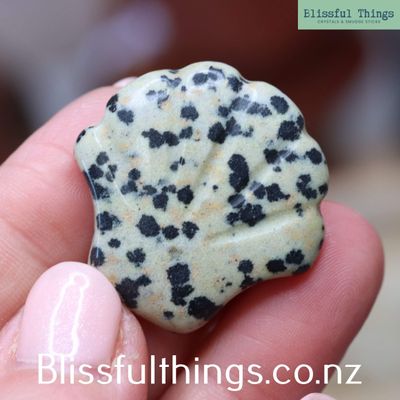 Dalmatian Jasper Carved Clam Shell