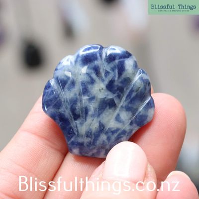 Sodalite Carved Clam Shell