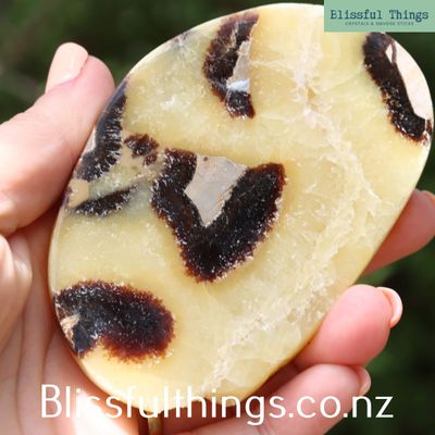 Septarian Polished Slice