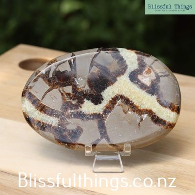 Septarian Polished Face