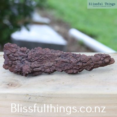 Fossil Poo Coprolite