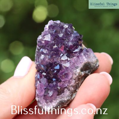 Amethyst Cluster from Uruguay (small)