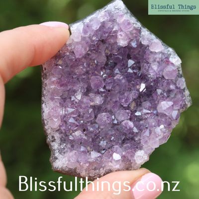 Amethyst Cluster from Uruguay