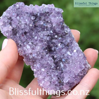 Amethyst Cluster from Uruguay